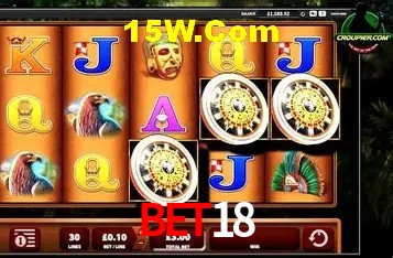 Security Systems bet18